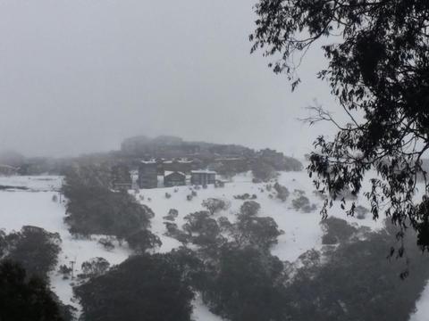Mt Buller Tour