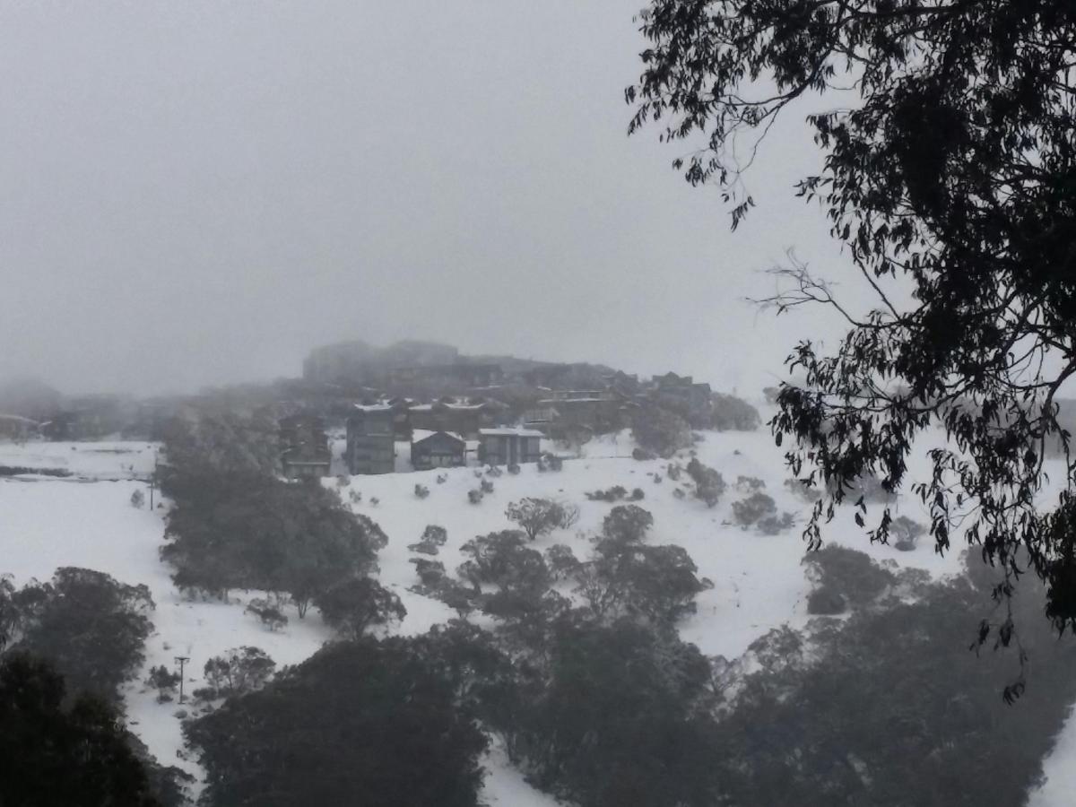 Mt Buller Tour