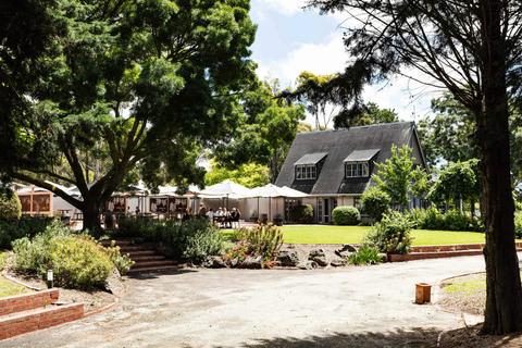 Scotchman Hill wines