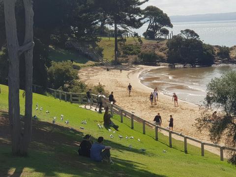 Phillip Island Cowes