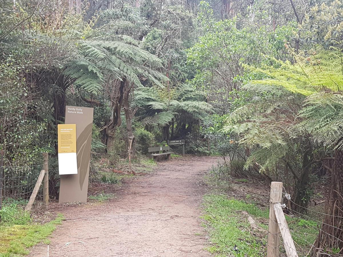 Private Customized Tours