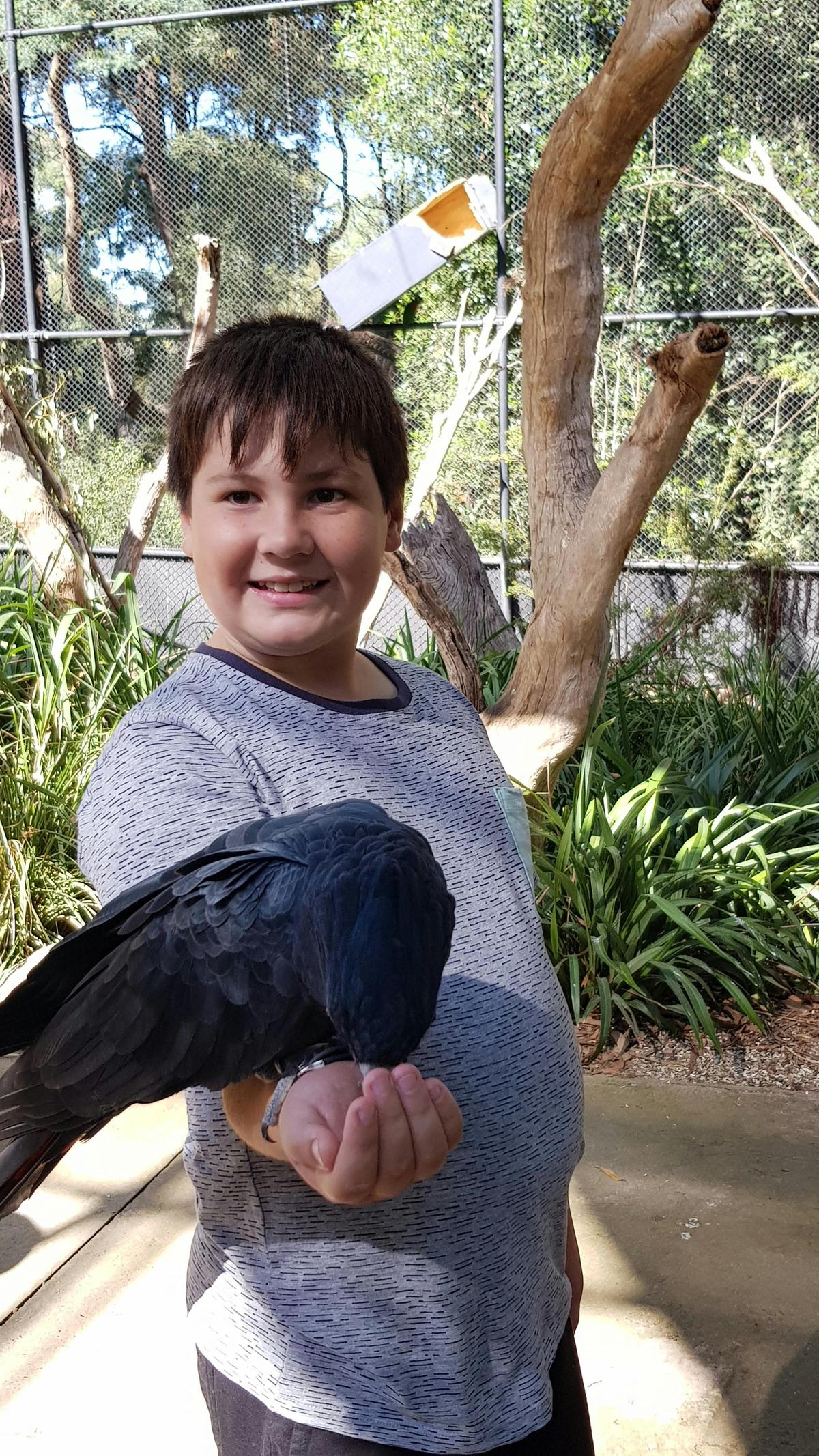 Healesville Wildlife Sanctuary