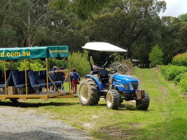 Rayners Orchard