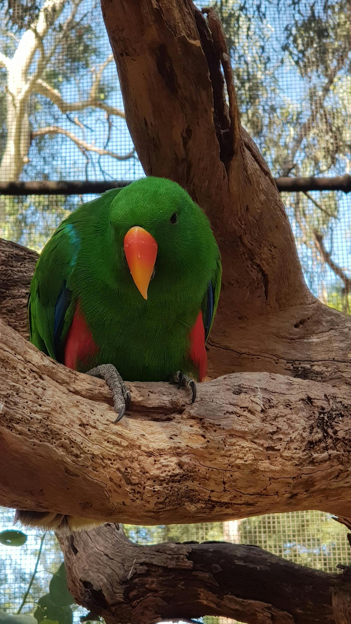 Healesville Wildlife Sanctuary