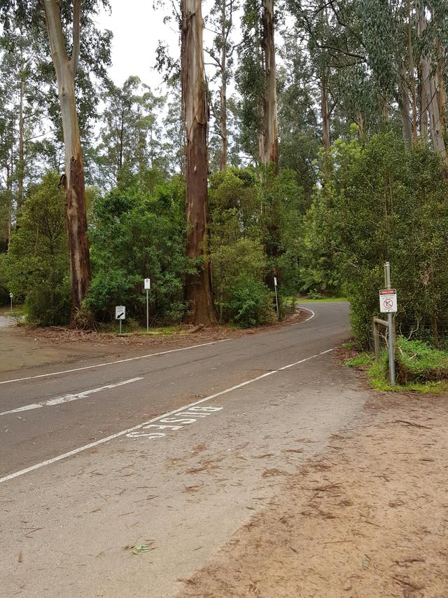 Dandenong Ranges