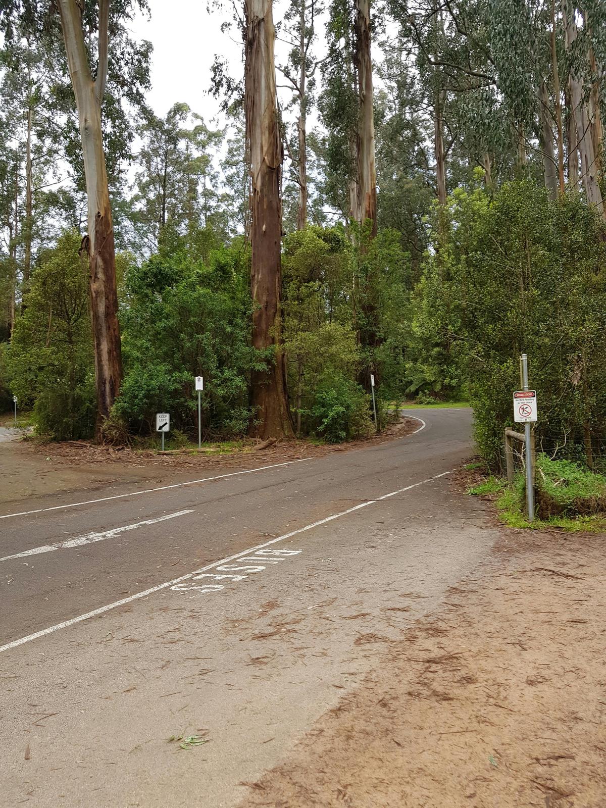 Dandenong Ranges