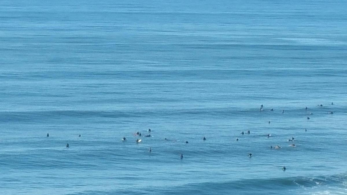 Learn to Surf Tour