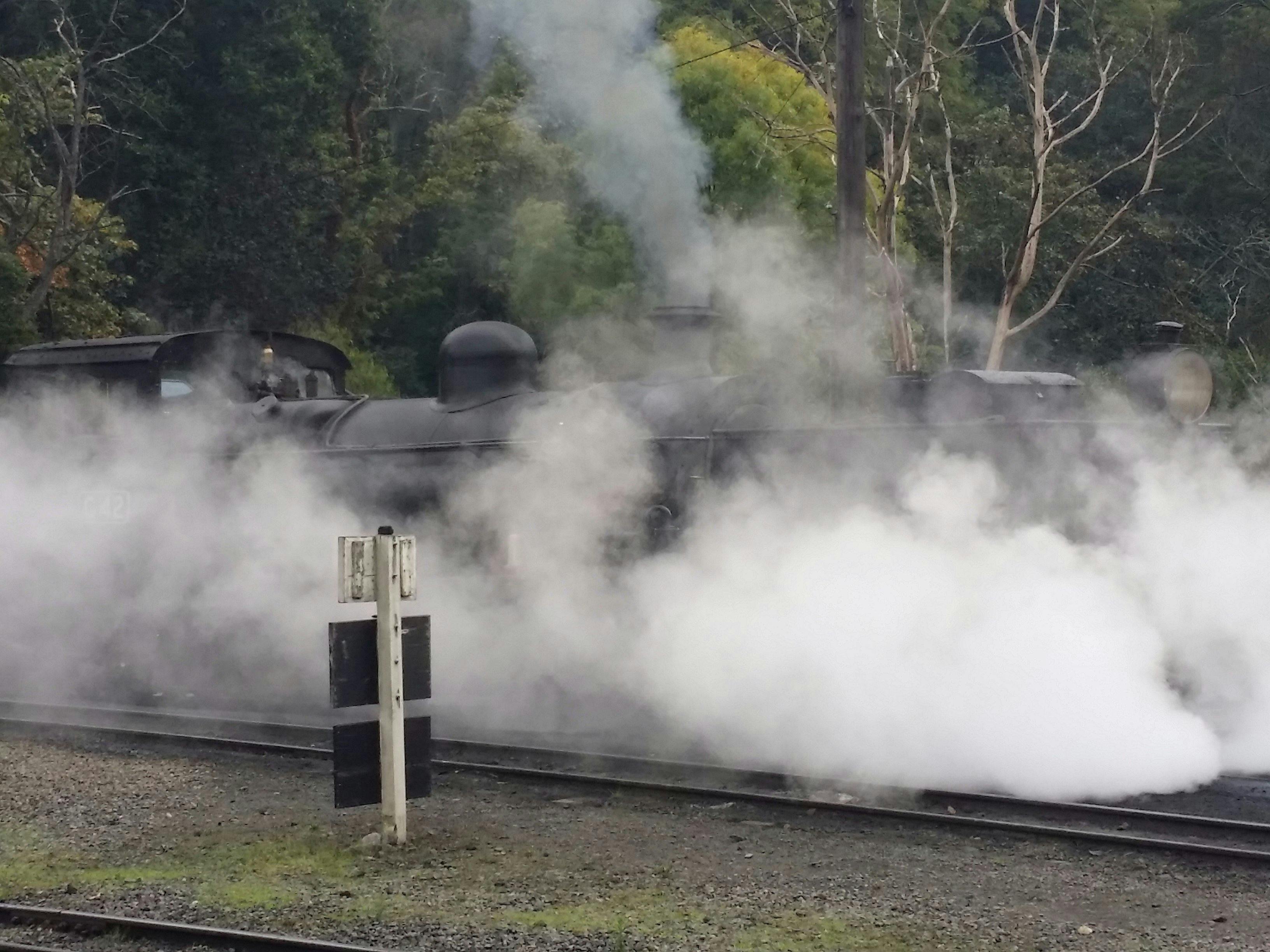 Puffing Billy