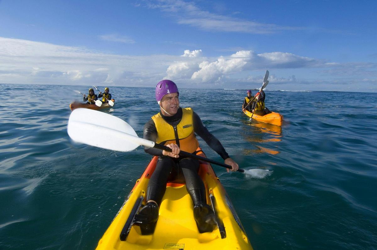 Apollo Bay Surf Kayak at Seal Colony
