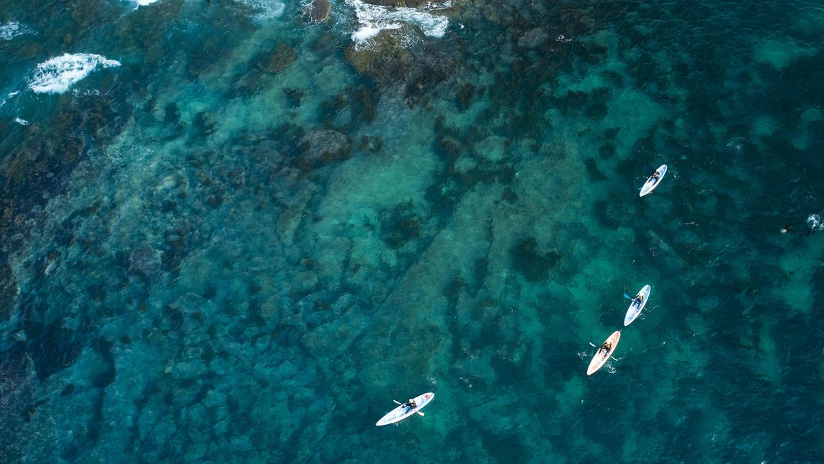 Apollo Bay Surf & Kayak