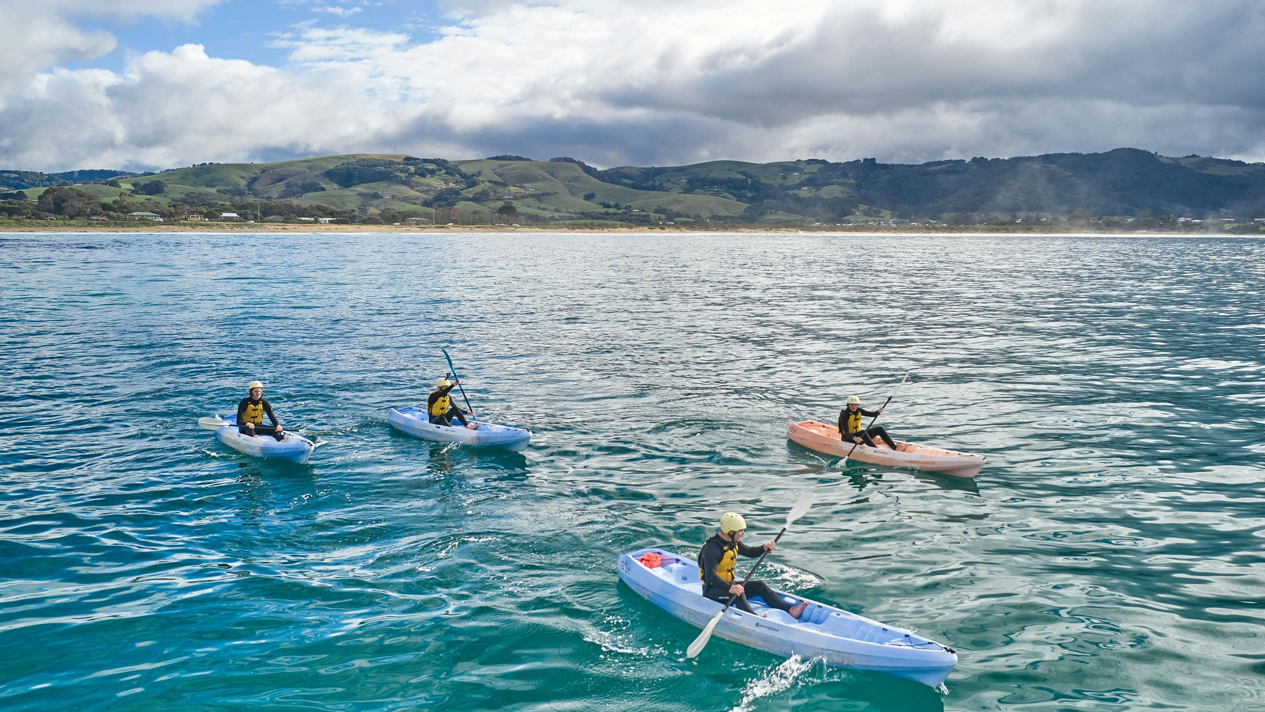 Apollo Bay Surf & Kayak