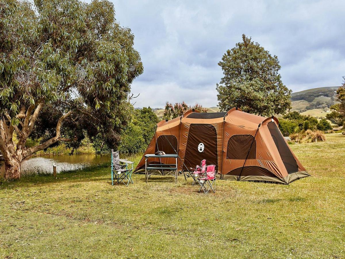 Apollo Bay camp sites