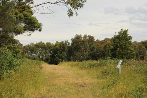 Arthurs Seat to Kings Falls