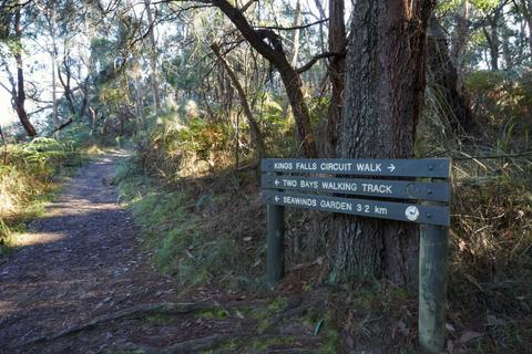 Arthurs Seat to Kings Falls Walk