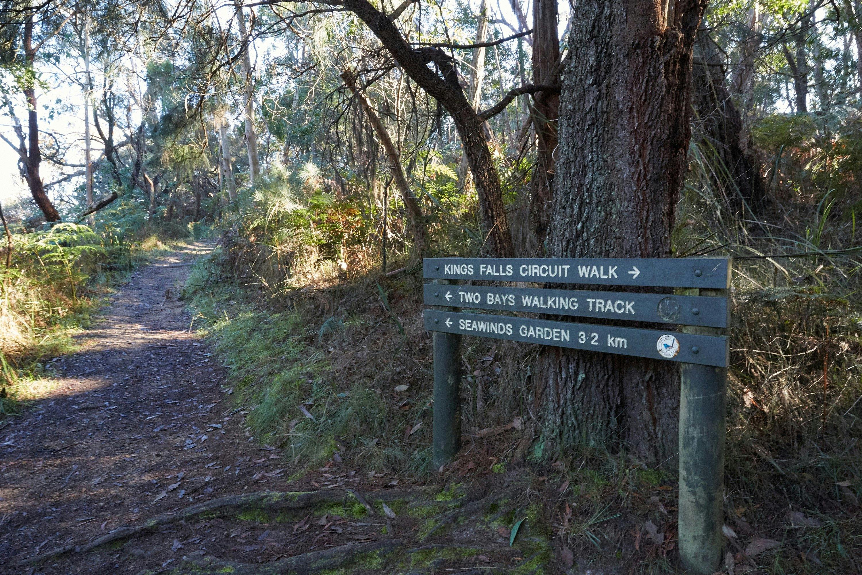 Arthurs Seat to Kings Falls
