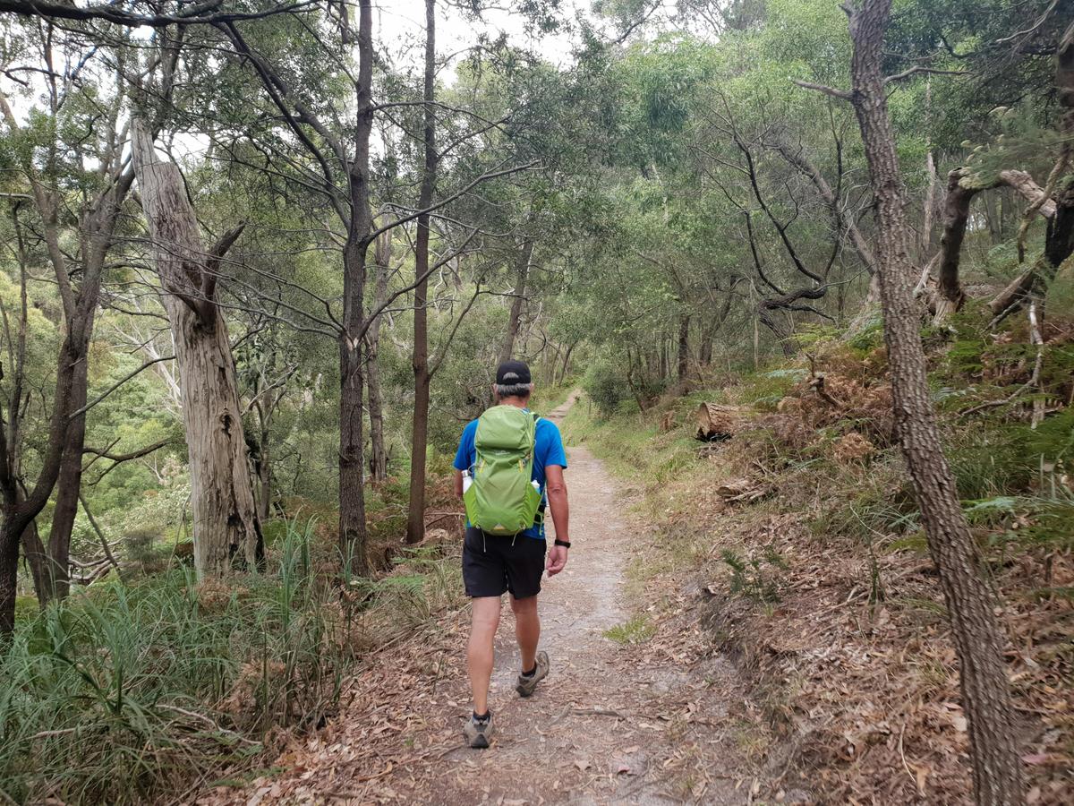 Arthurs Seat to McLaren Dam Walk (Two Bays Walking Track)