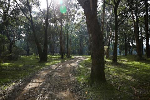 Arthurs Seat State Park - Mountain Bike Trails