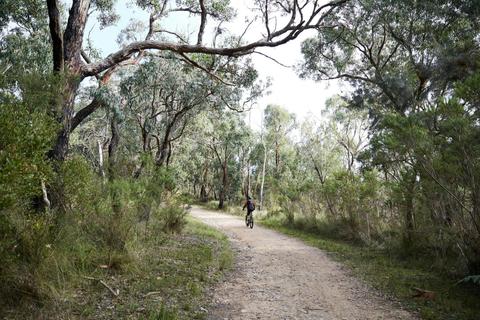 Arthurs Seat State Park