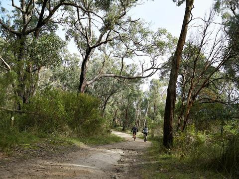 Arthurs Seat State Park