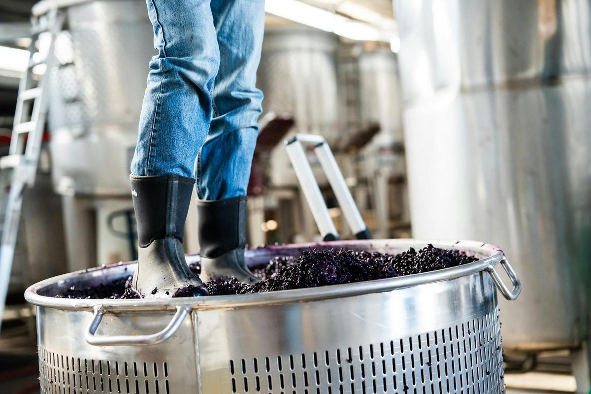 Basket press red wine