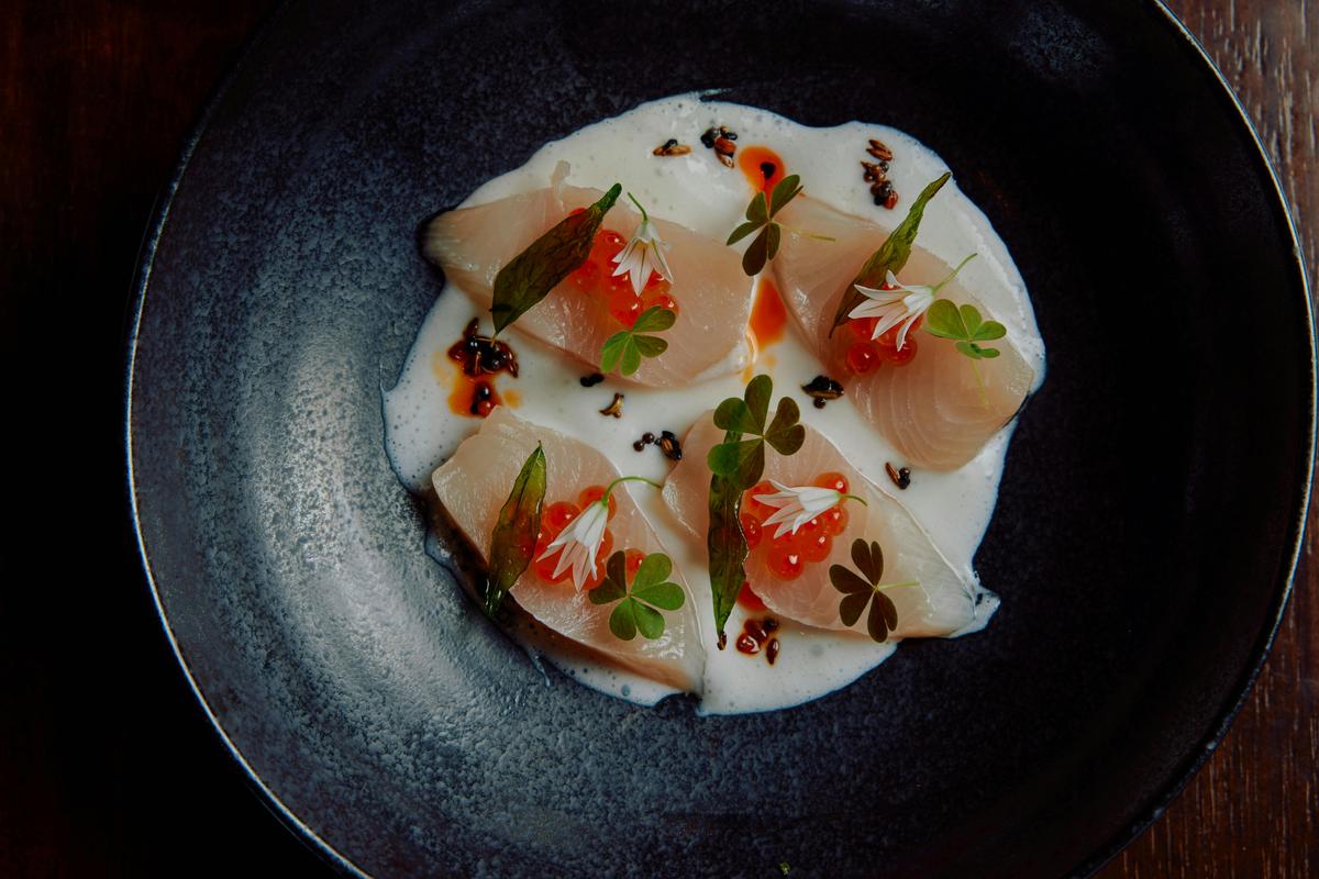 Avani Cellar Kitchen - kinfish