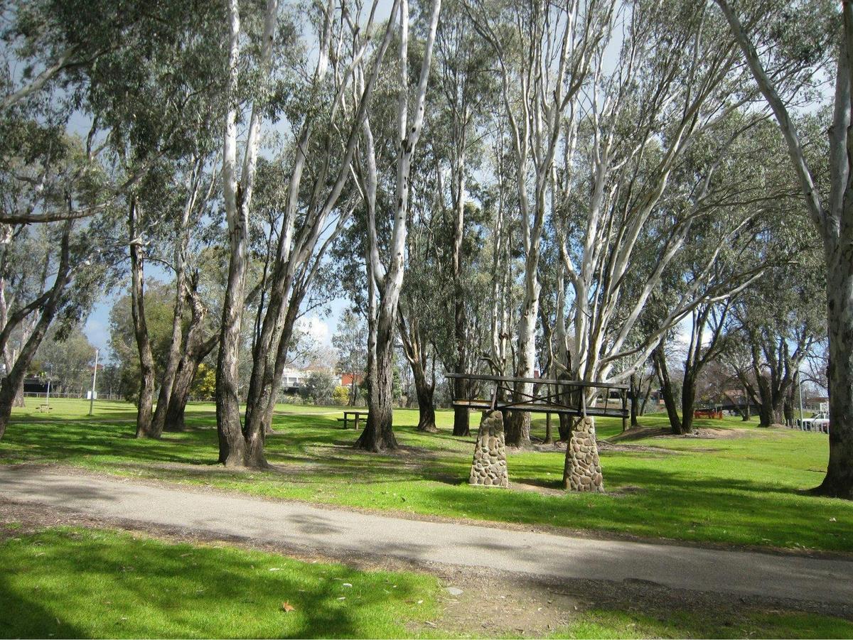 Gum trees
