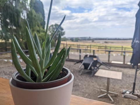 Artisans of Australia