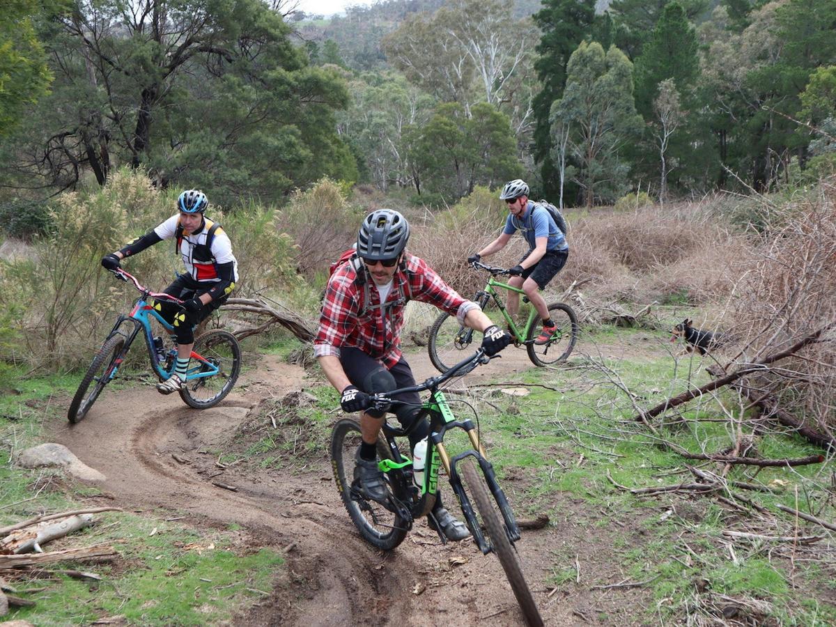 Mountain bike riding Central Victoria