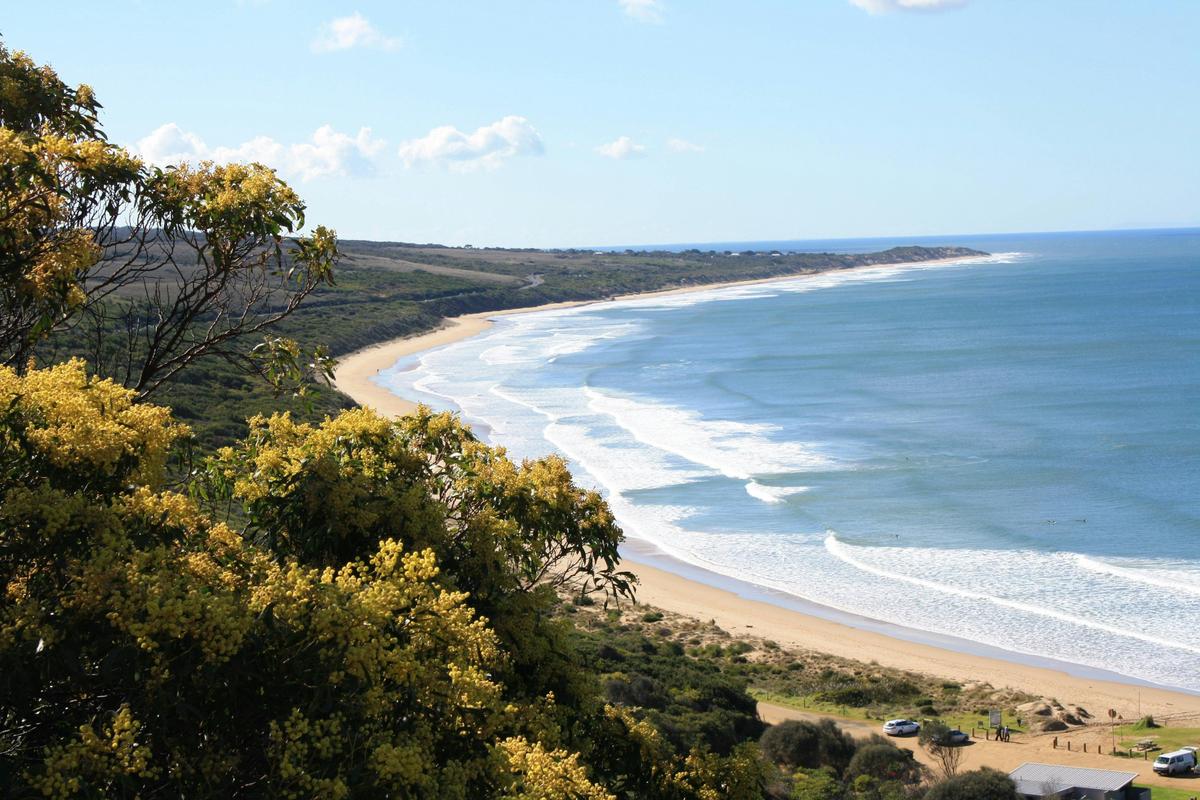 Scenes from Urquhuarts Bluff