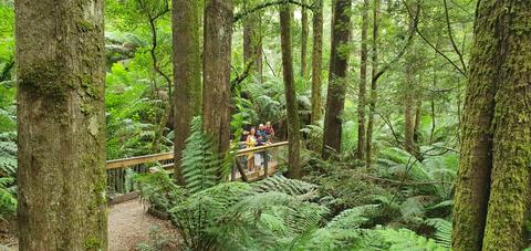 Great Otway National Park