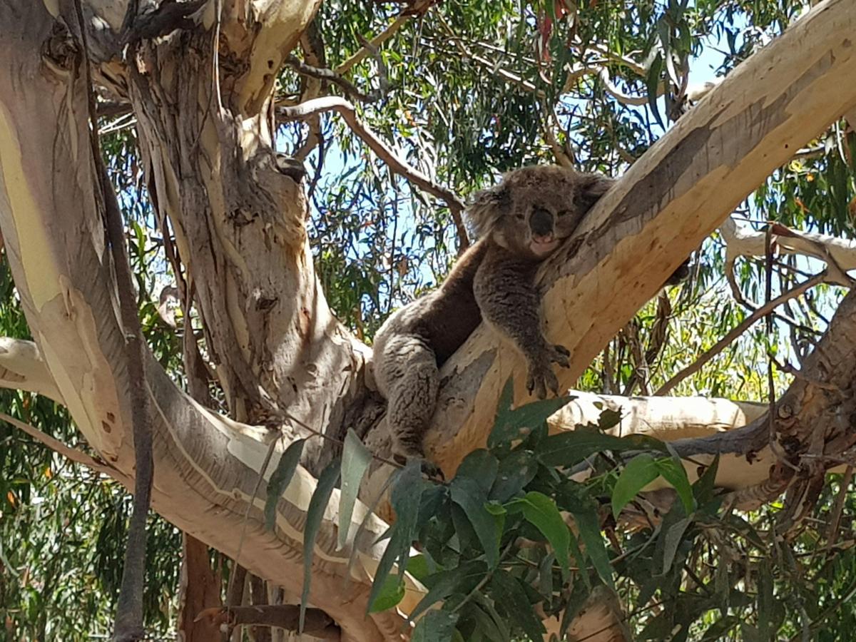 We all need some moments of peace