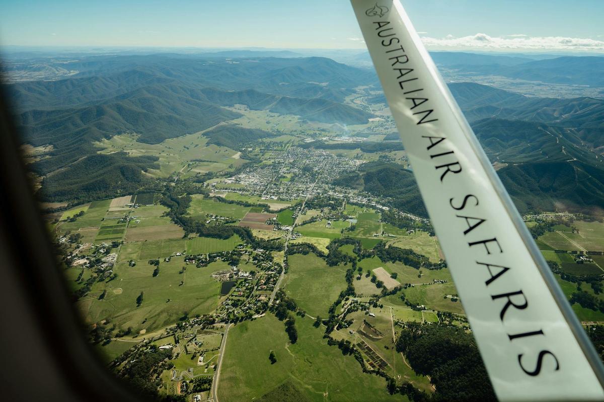 Flying to Brown Brothers