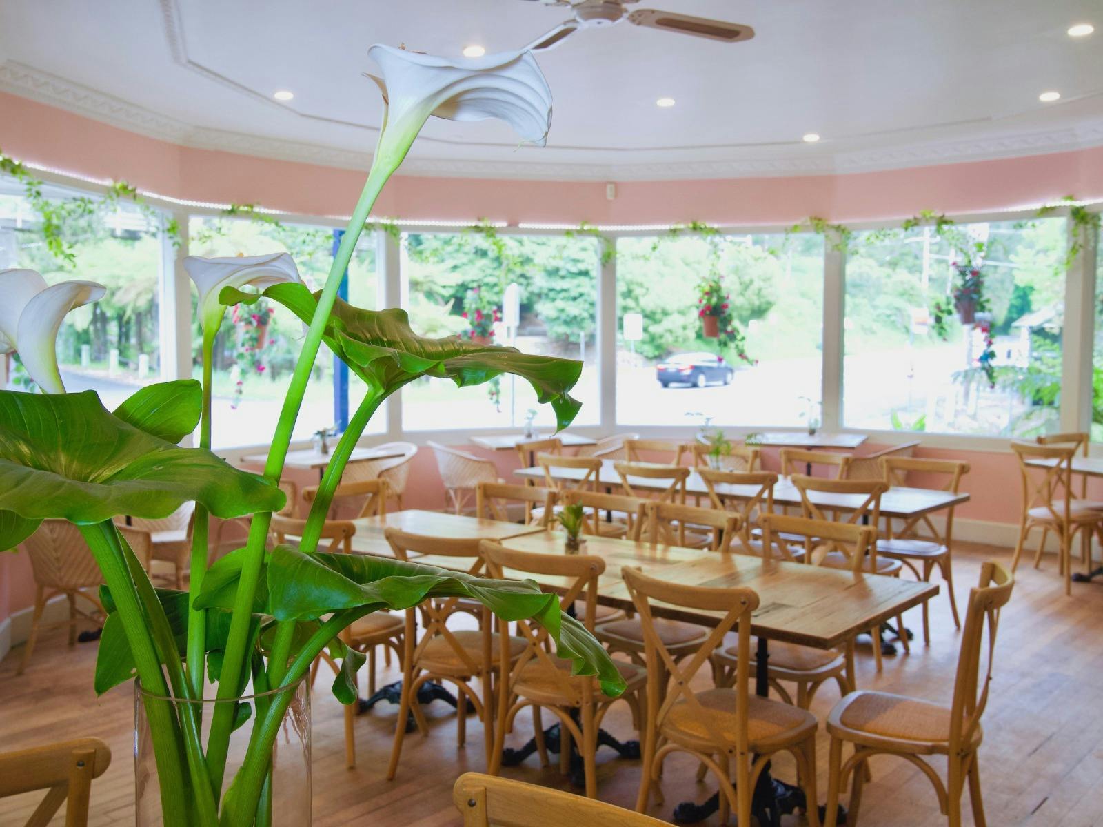 Views of the mountains from every direction