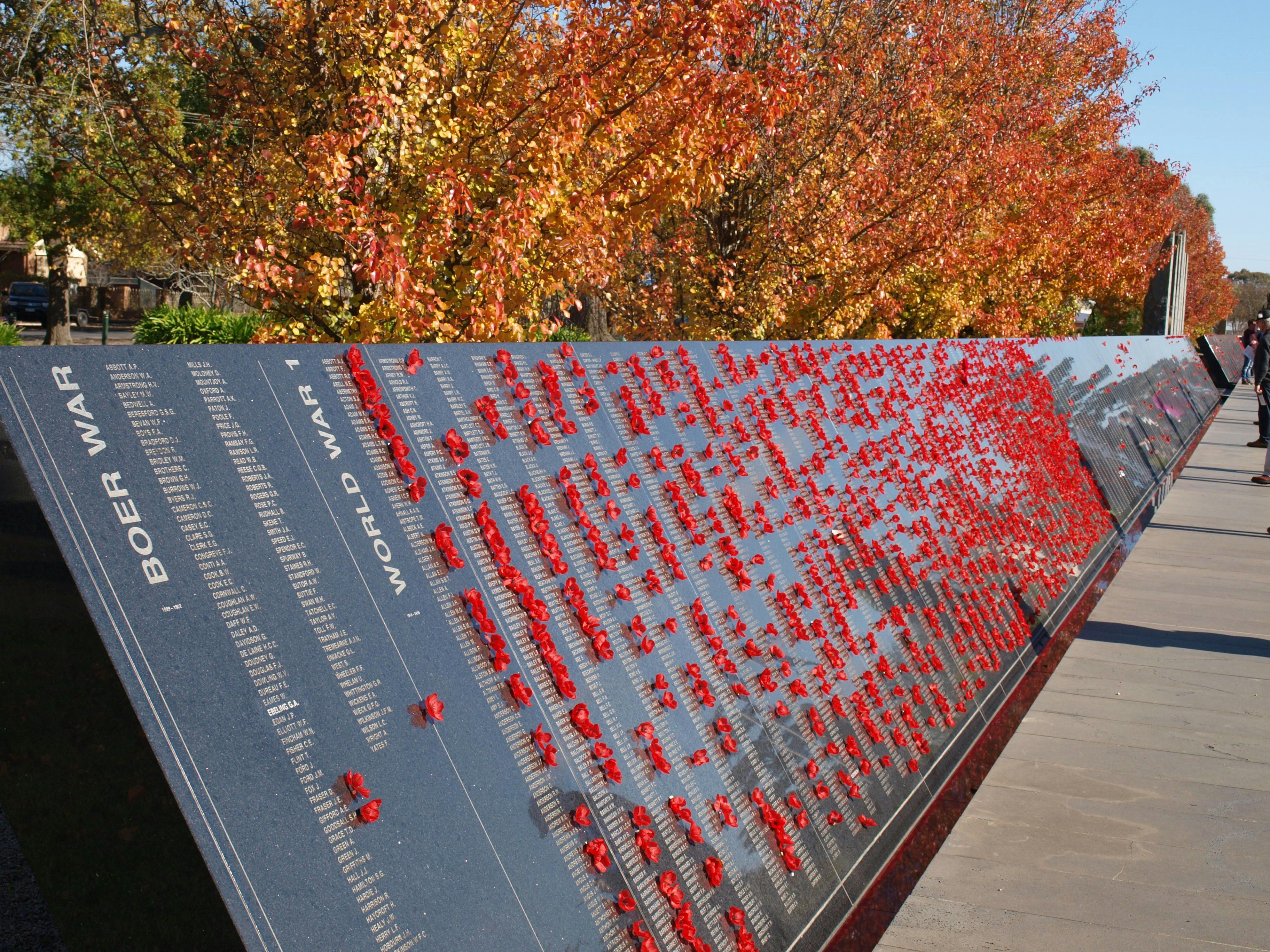 ANZAC Day Poppies World War One