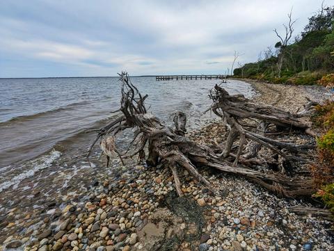 Raymond Island Beach