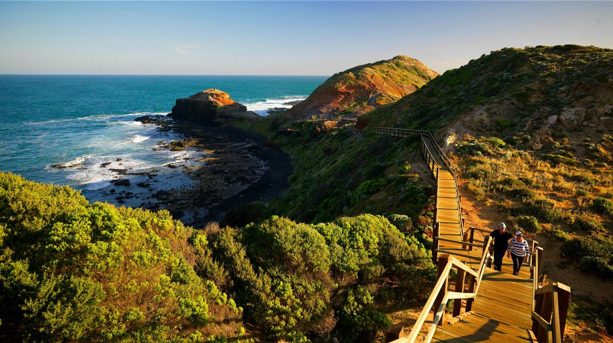 Cape Schanck Boardwalk