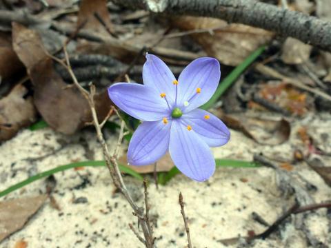 Auswalk Walking Holidays