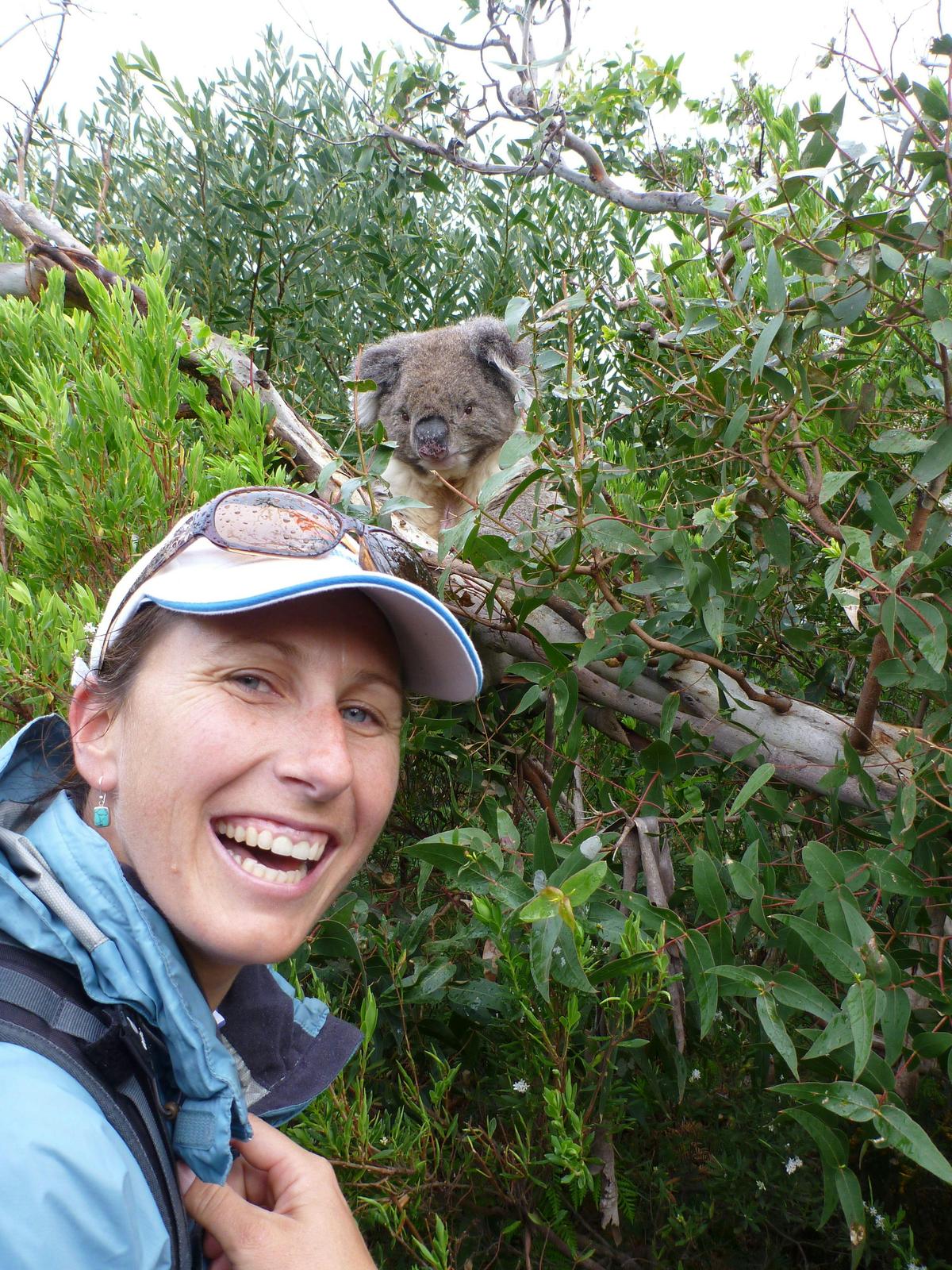 Great Ocean Walk - 8 Day Self-Guided