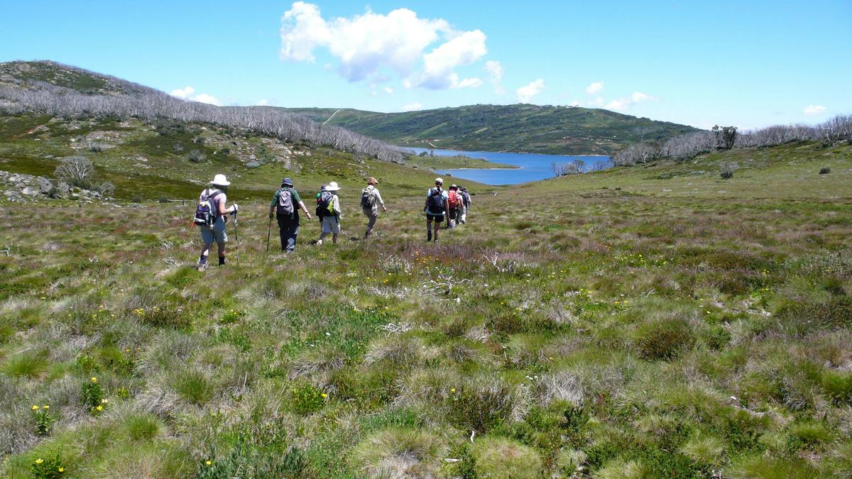 Auswalk Walking Holidays