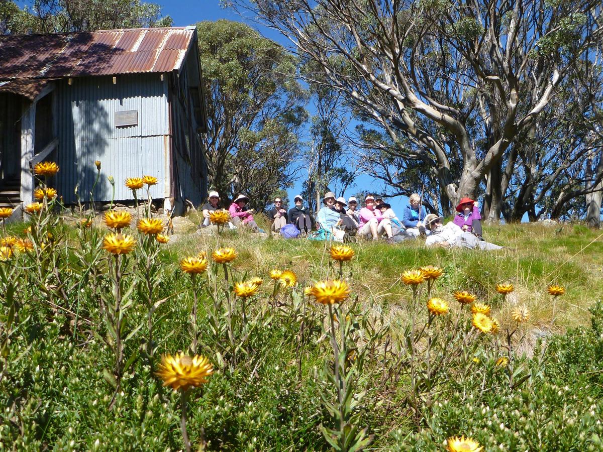 Auswalk Walking Holidays