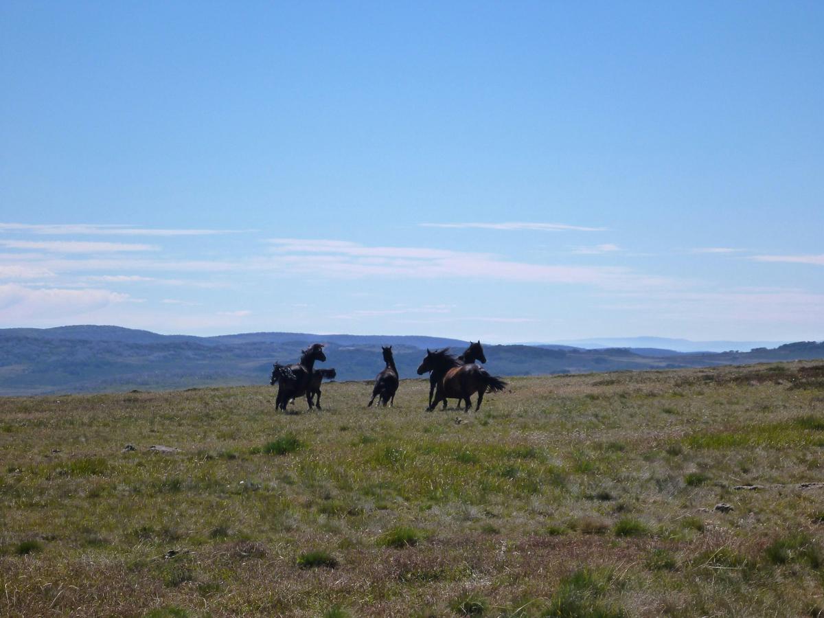 Auswalk Walking Holidays