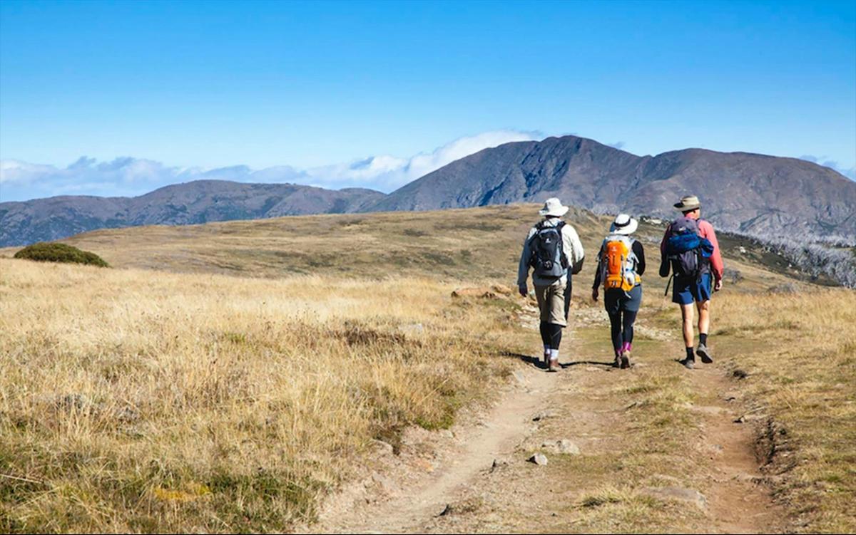 Roper Lookout & Huts to Falls Creek