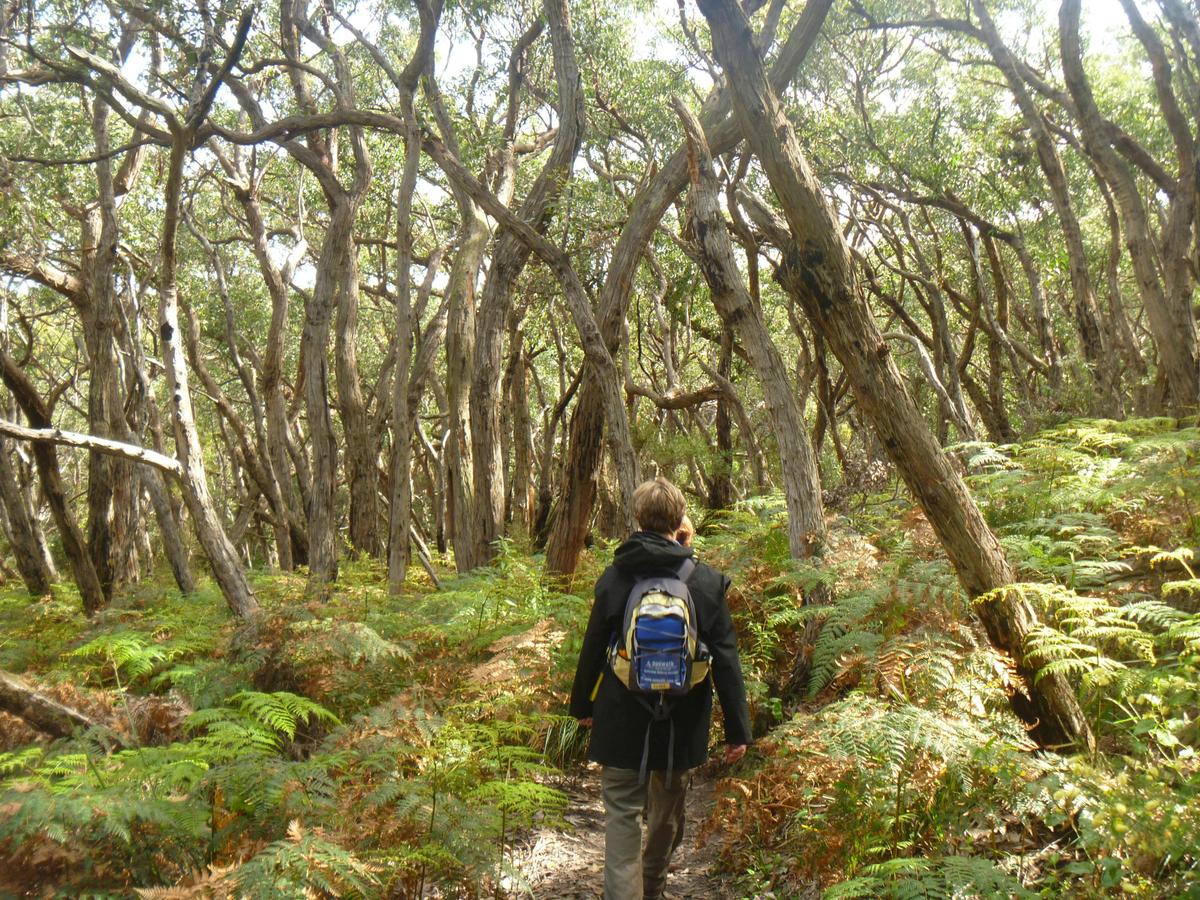 Great Ocean Walk 7 Day Unplug - Self-Guided