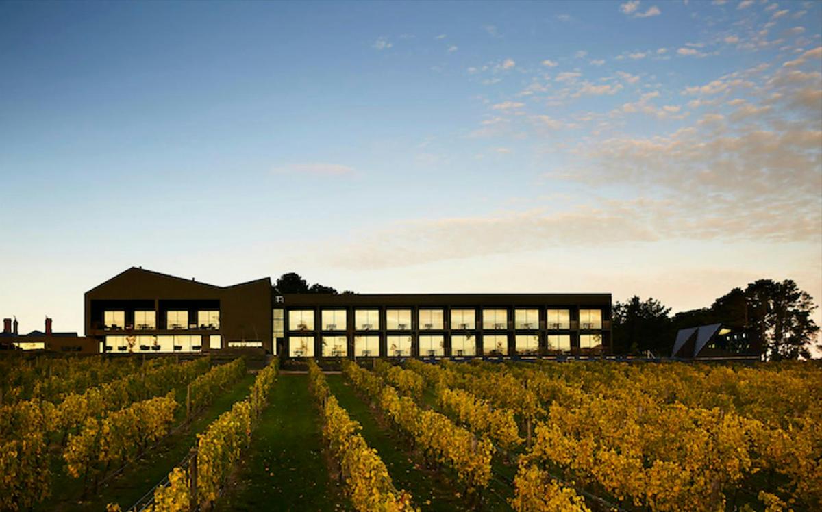 Cape Schank Coastal Walk