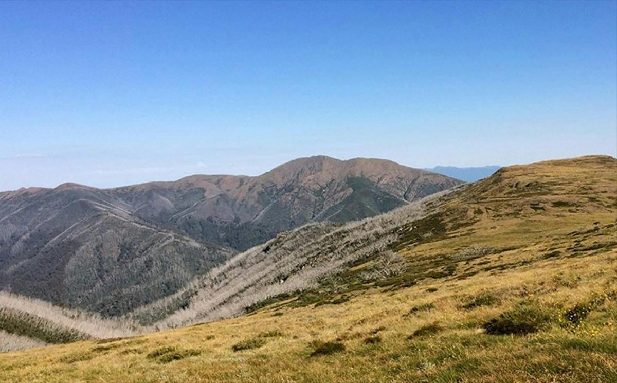 Falls Creek to Hotham