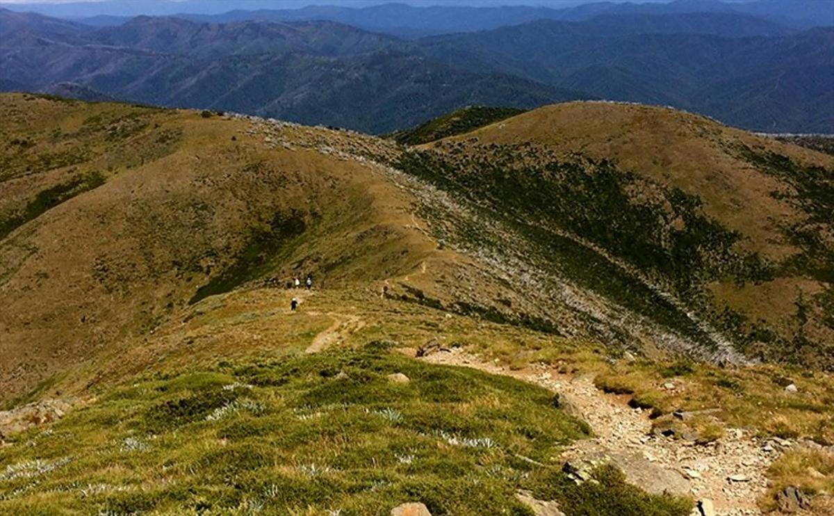 Hotham to Harrietville