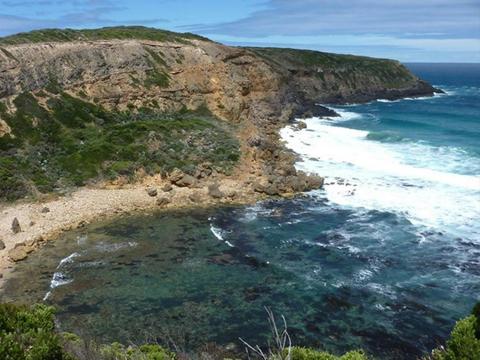 Great South West Walk Highlights - 8 Day Self-Guided