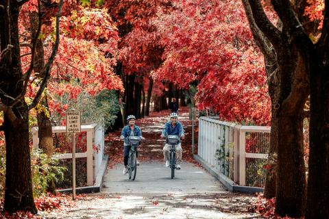 Beechworth Rail Trail