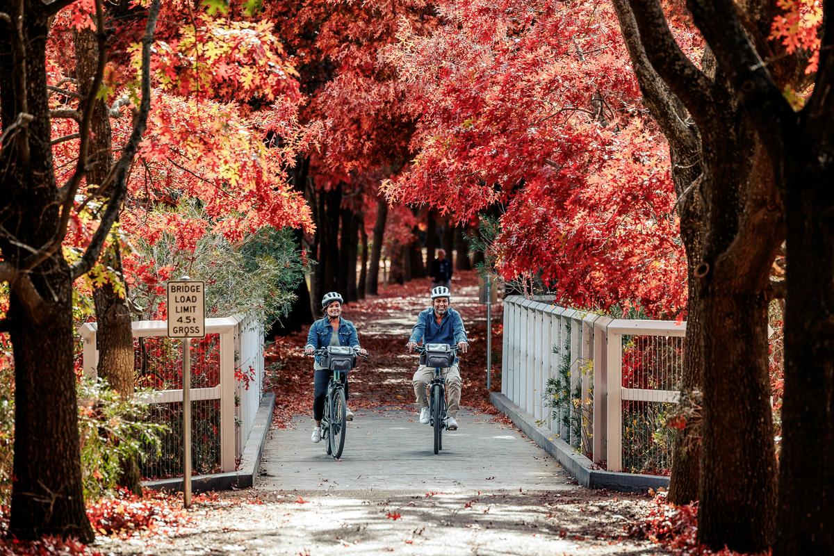 Beechworth Rail Trail
