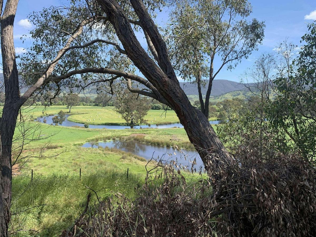 Murray River View